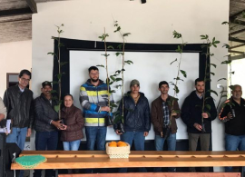 Dia de campo em Cerro Azul reúne produtores de citros, maracujá e caprinos